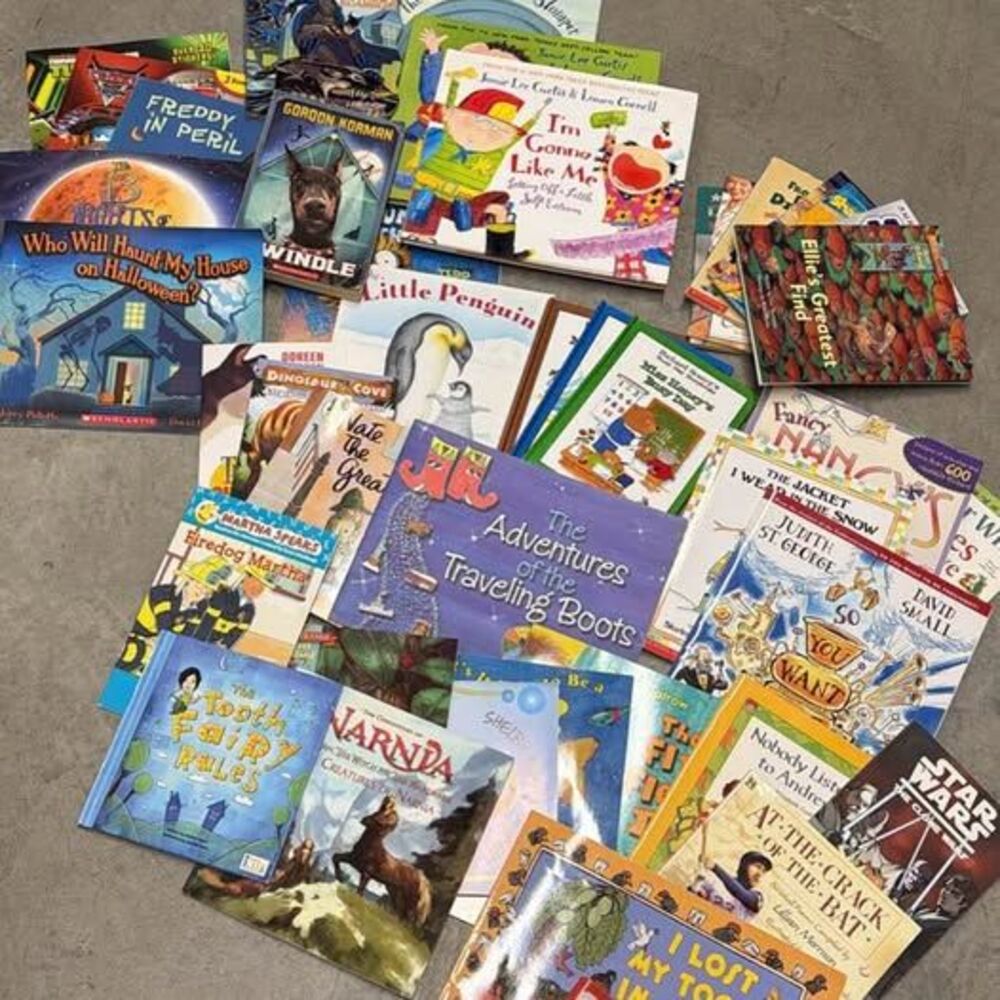 Large Children's Book Lot